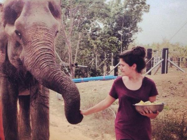 Elephant refuge volunteering in Thailand