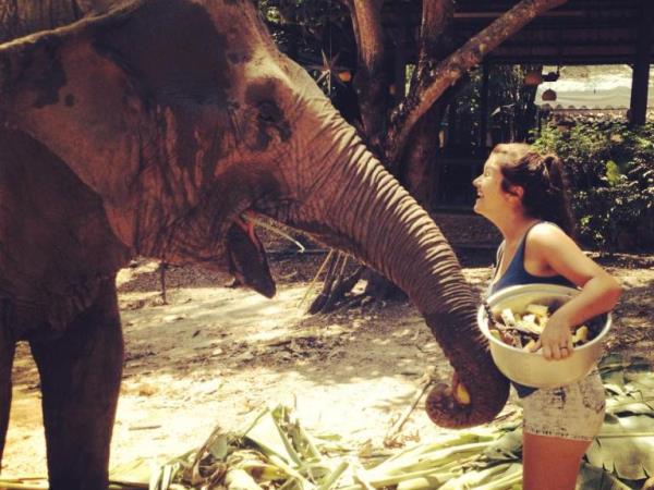 Elephant refuge volunteering in Thailand