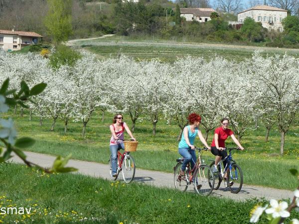 River Lot family cycling tour in France