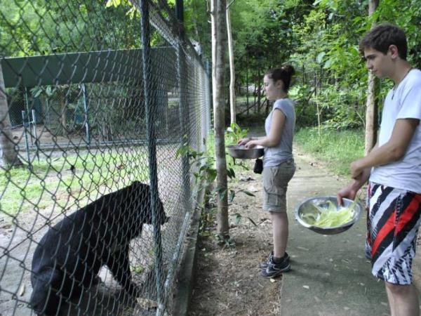 Family volunteering in Thailand