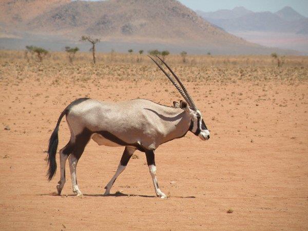 Namibia guided tour