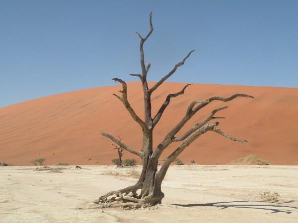Namibia guided tour