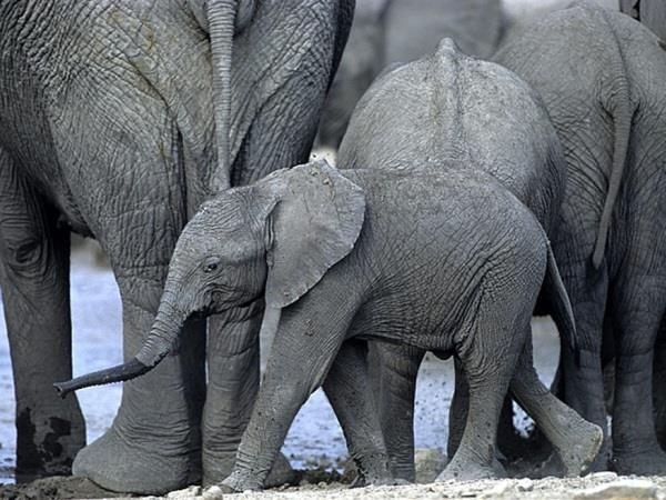Namibia guided tour