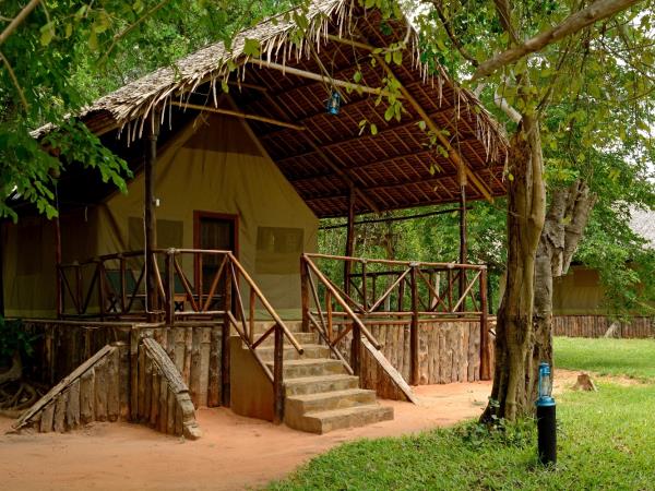 Luxury Tanzania safari and Zanzibar beach holiday