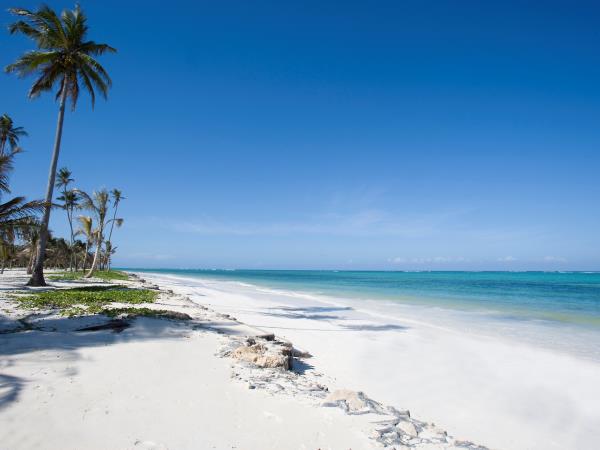 Luxury Tanzania safari and Zanzibar beach holiday