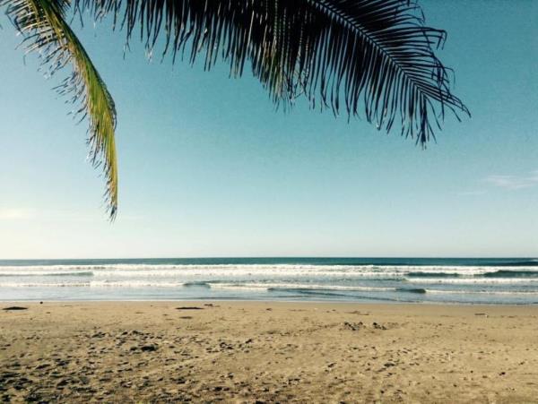 Family volunteering with turtles in Costa Rica