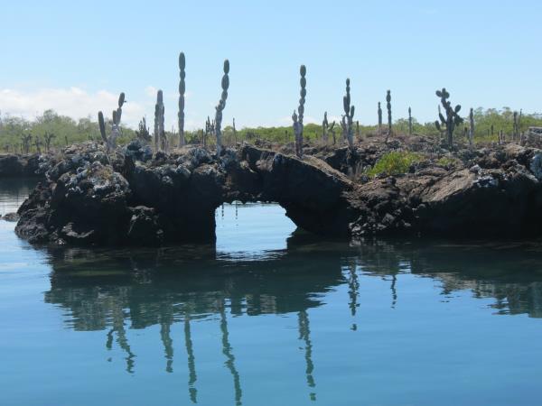 Galapagos and Ecuador small group holiday