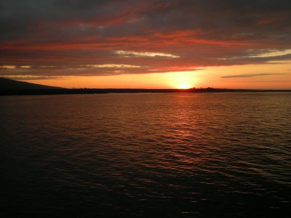 Galapagos tailor made holidays
