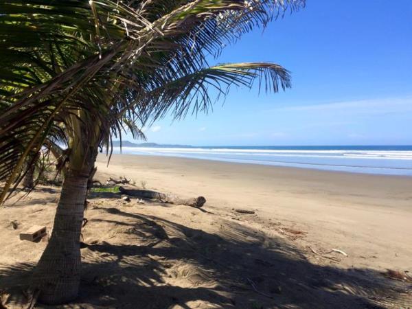 Family volunteering with turtles in Costa Rica
