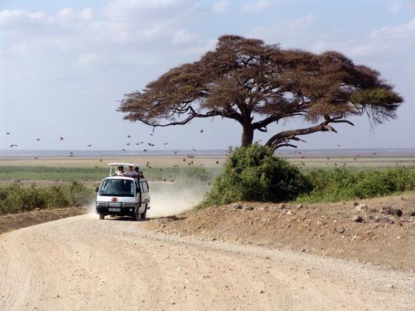 Kenya & Tanzania classic safari