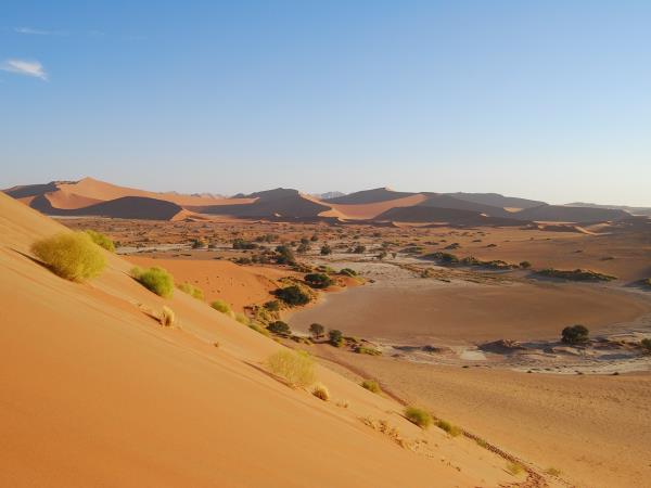 Namibia holidays, safari & desert discovery