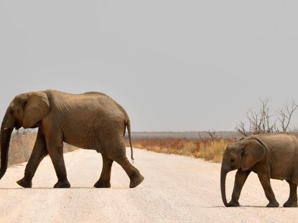 Namibia holidays, safari & desert discovery