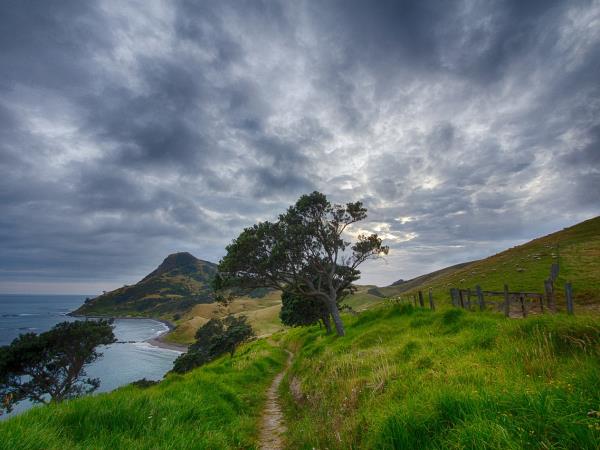 New Zealand holiday, tailor made