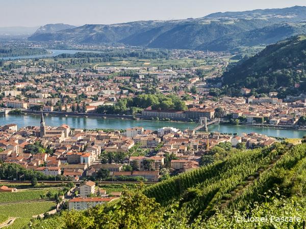 The Via Rhona cycling tour, Vienna to Montelimar