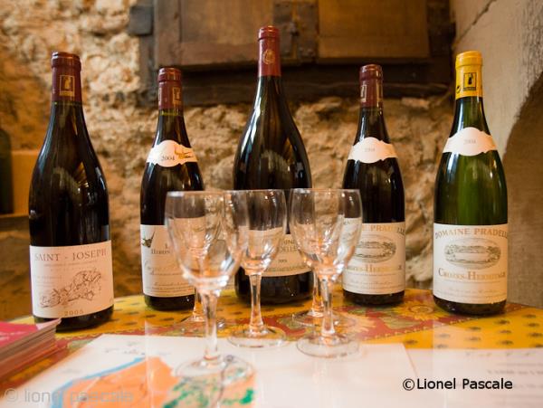 The Via Rhona cycling tour, Vienna to Montelimar