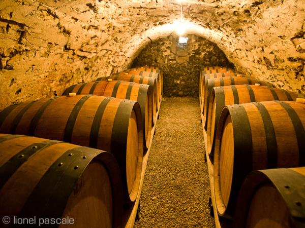The Via Rhona cycling tour, Vienna to Montelimar