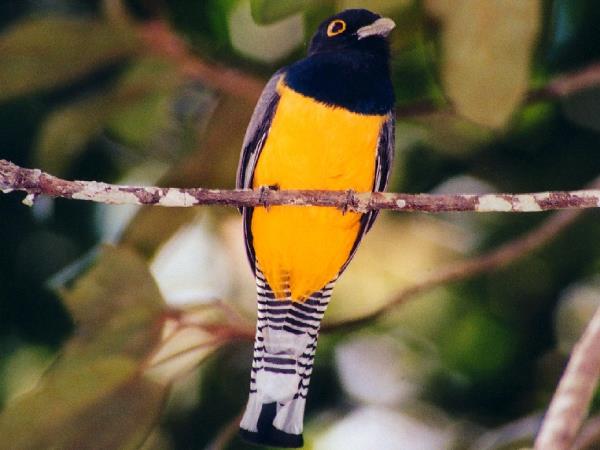 Belize holidays, tailor made