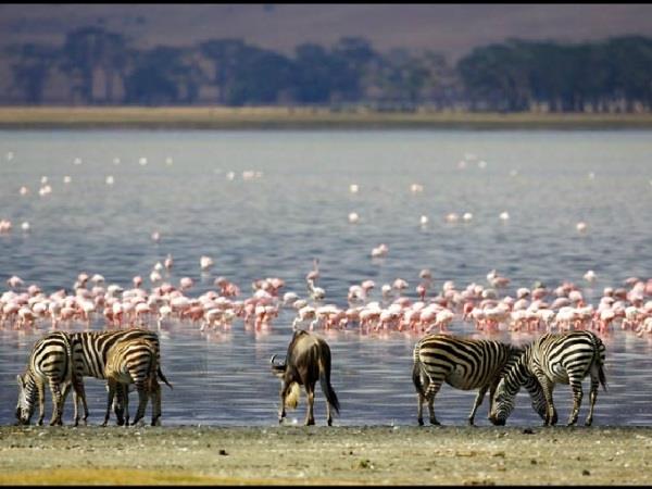 Kenya & Tanzania holiday, East Africa highlights