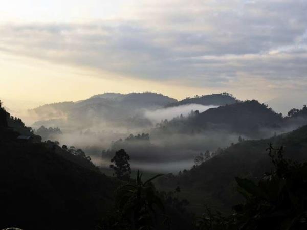 Uganda gorilla safari holiday