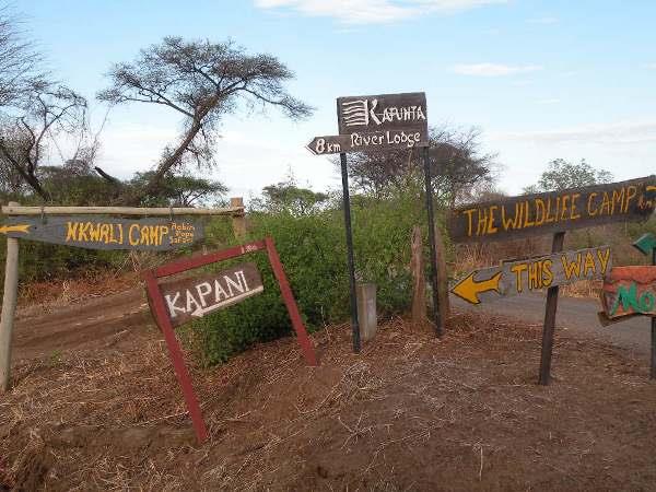 Zambia safari in Luangwa with Victoria Falls