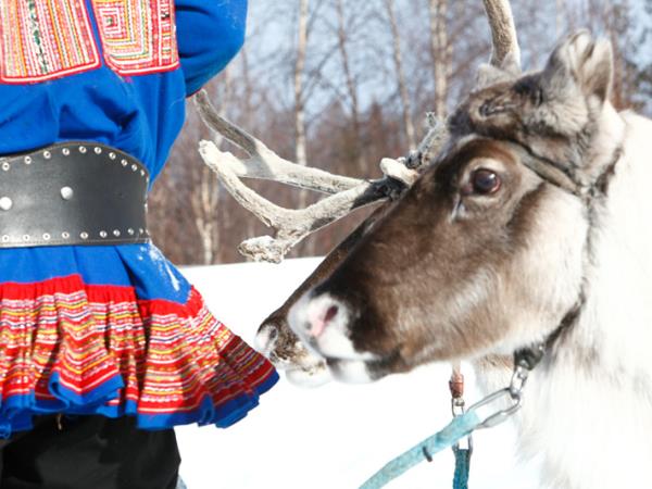 Family winter activity holiday in Finland