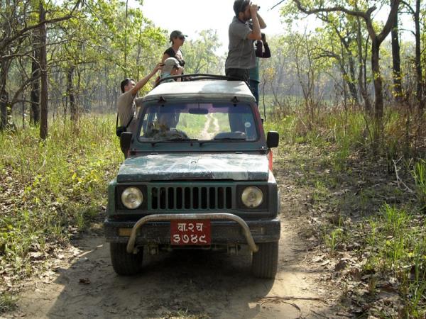 Annapurna Sanctuary trek & Chitwan safari