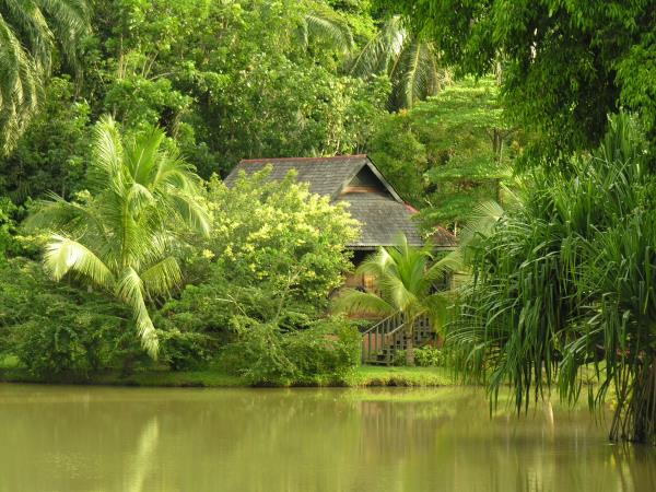 Borneo luxury holidays, tailor made