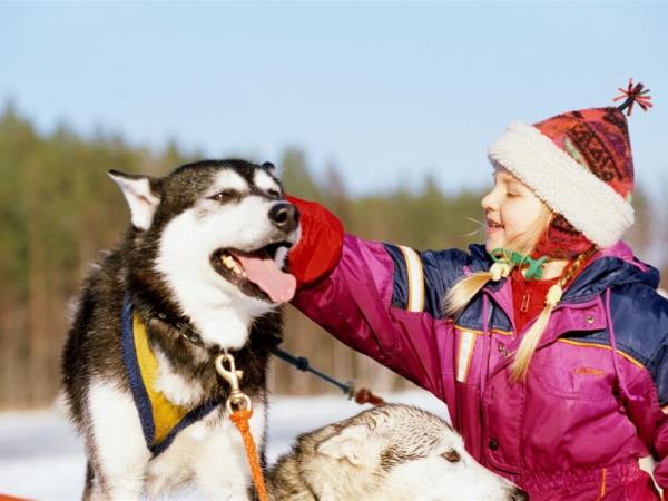 Family multi activity holiday in Finland with Santa