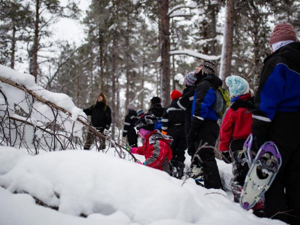 Northern Lights family holiday in Finland