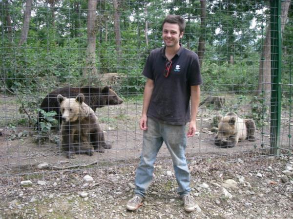 Volunteering with bears in Romania