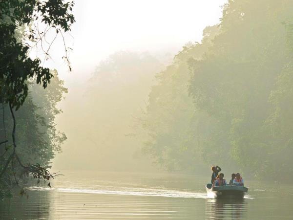 Wildlife conservation in Borneo