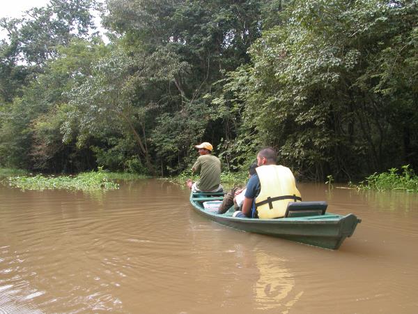 Brazil wildlife holiday, tailor made
