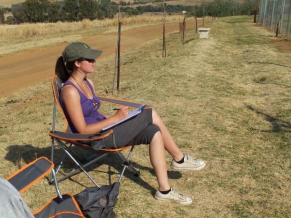 Volunteer at a lion sanctuary in South Africa