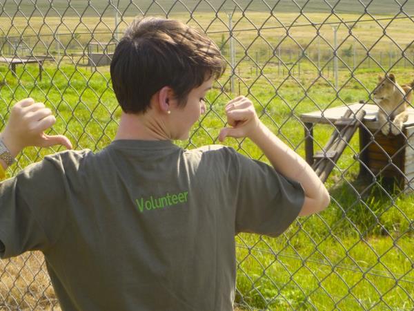 Volunteer at a lion sanctuary in South Africa