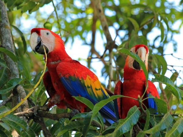Costa Rica coastal tour, Caribbean Explorer