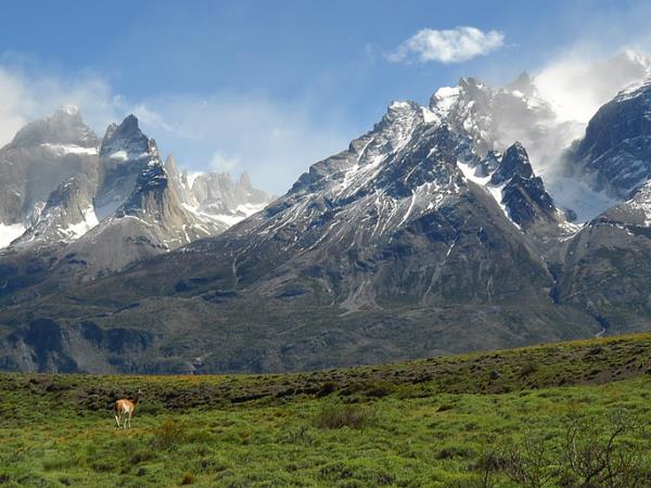 Whale watching tour in Argentina