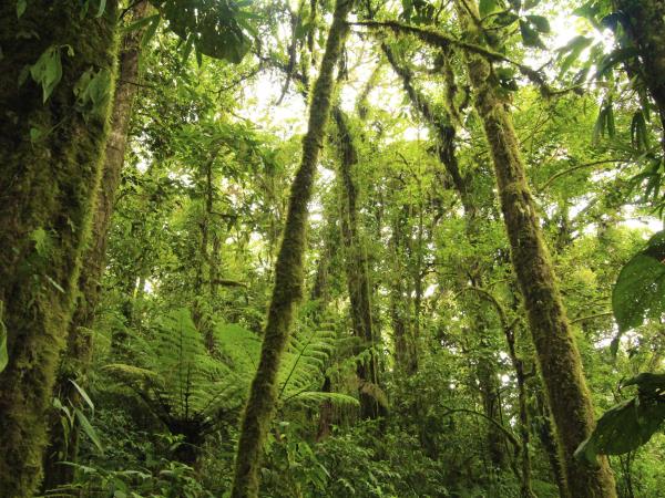 Costa Rica wildlife tour
