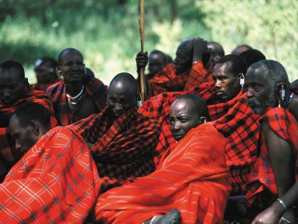 Big game safari in Tanzania