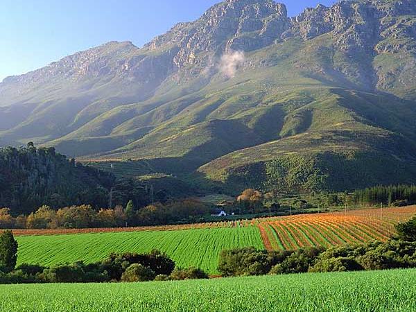 Cape Town & winelands holiday, South Africa tailormade