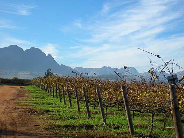 Cape Town & winelands holiday, South Africa tailormade