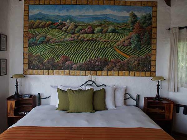 Costa Rica and Galapagos wildlife holiday