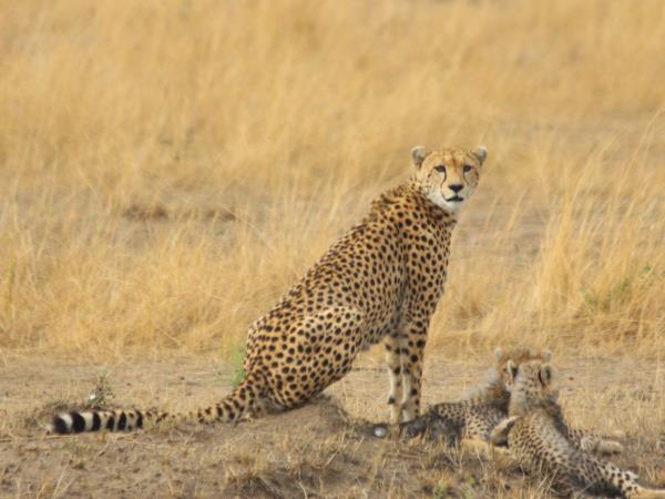 South Rift Valley and South Kenya safari