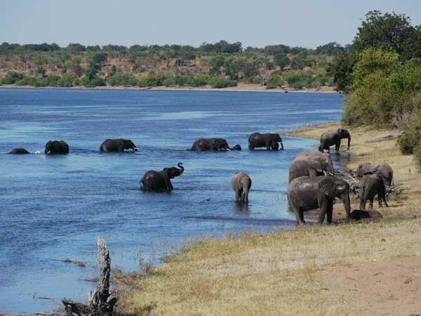 Botswana luxury tailor made holiday
