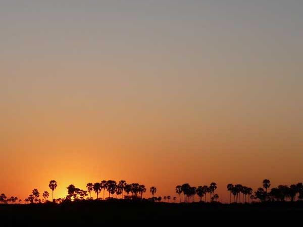 Botswana luxury tailor made holiday