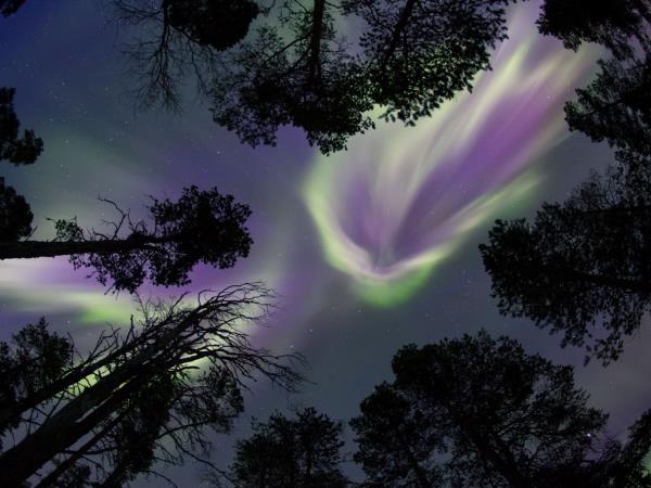 Finland Northern Lights holiday, Wilderness Auroras