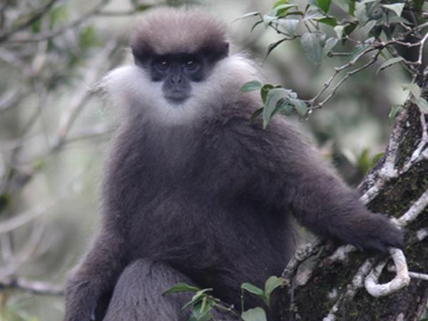 Sri Lanka wildlife tour