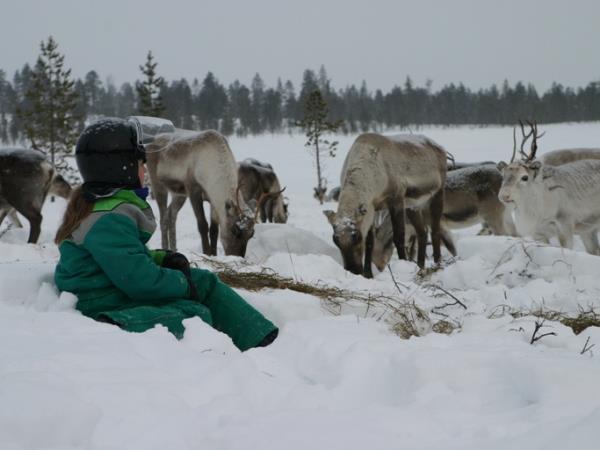 Finland Northern Lights holiday, Wilderness Auroras