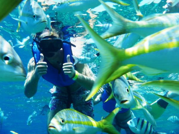 Learn Spanish and watersports holiday, Dominican Republic
