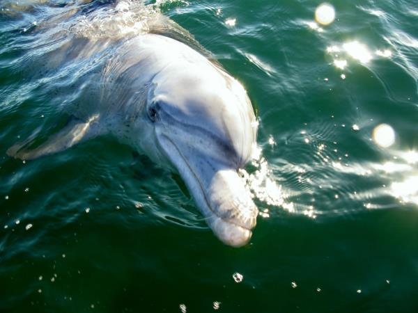 Western Australia wildlife holiday