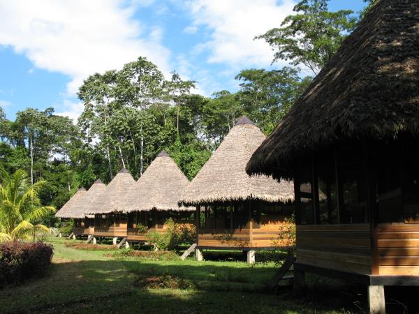 Cloudforest holiday to Manu National Park